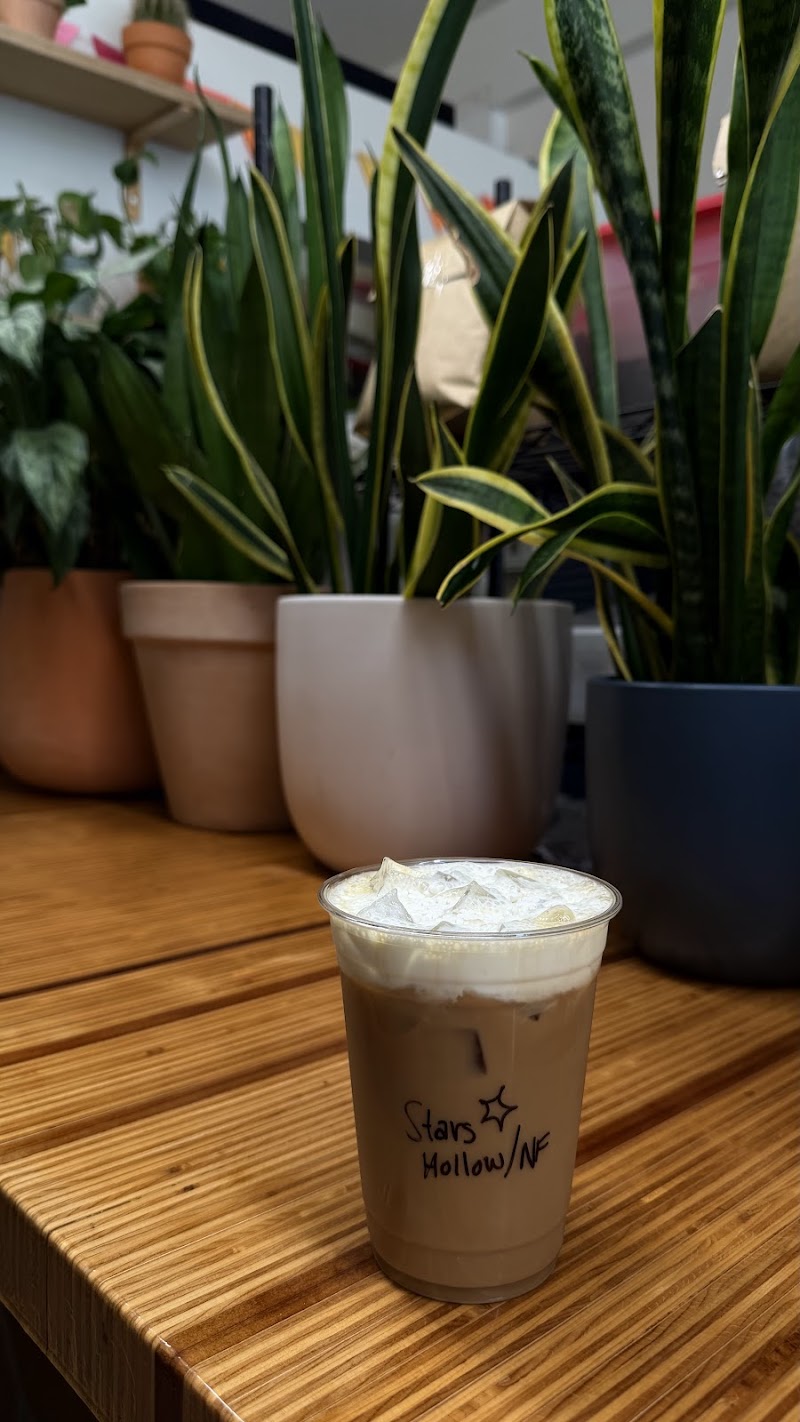 Super Domestic Coffee- Venice