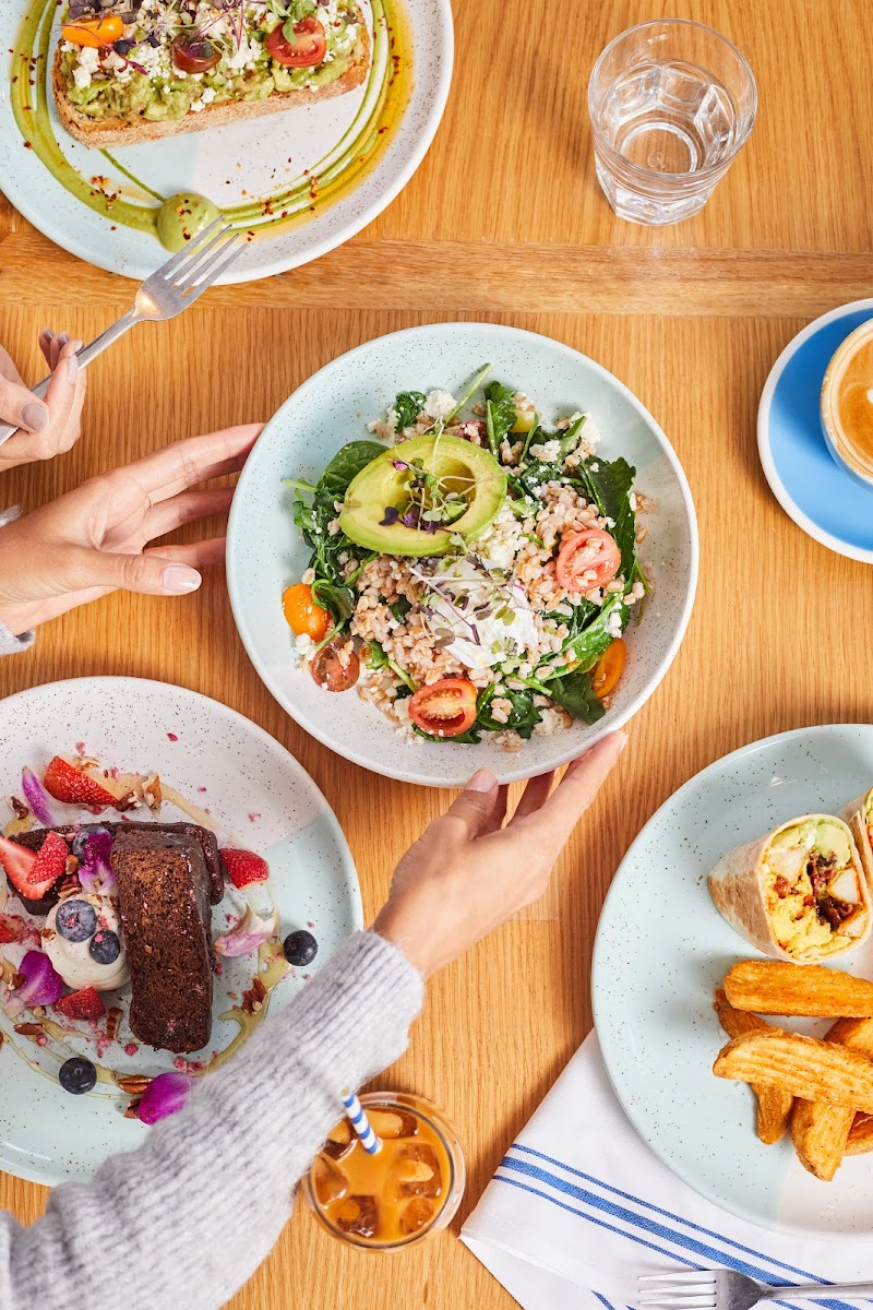 Bluestone Lane Princeton Cafe