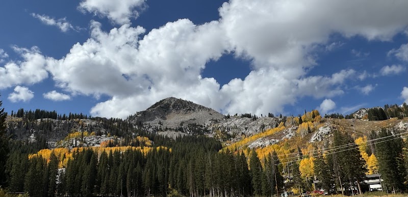 The Blind Miner Coffee