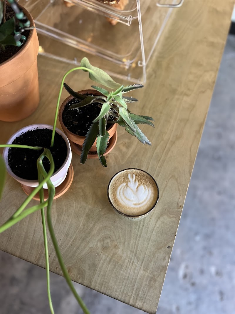 The Mallard Coffee Company