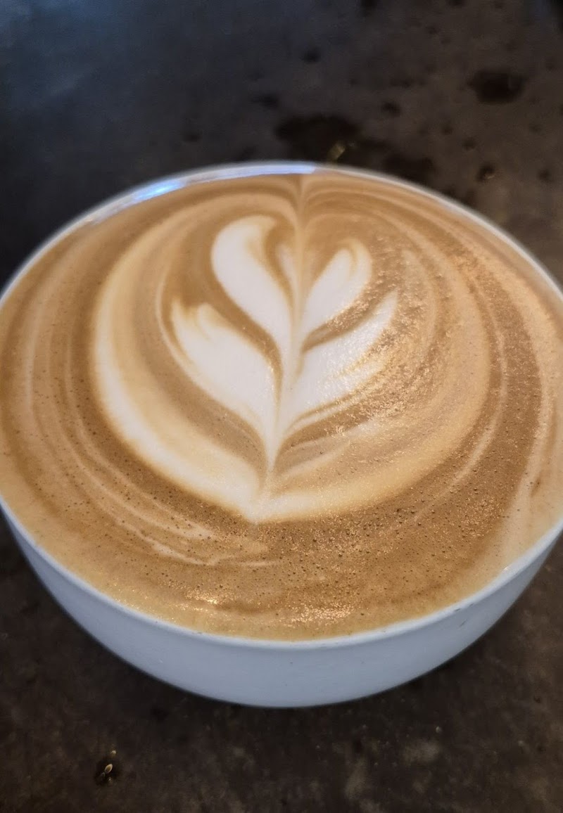 Barracuda Coffee Company