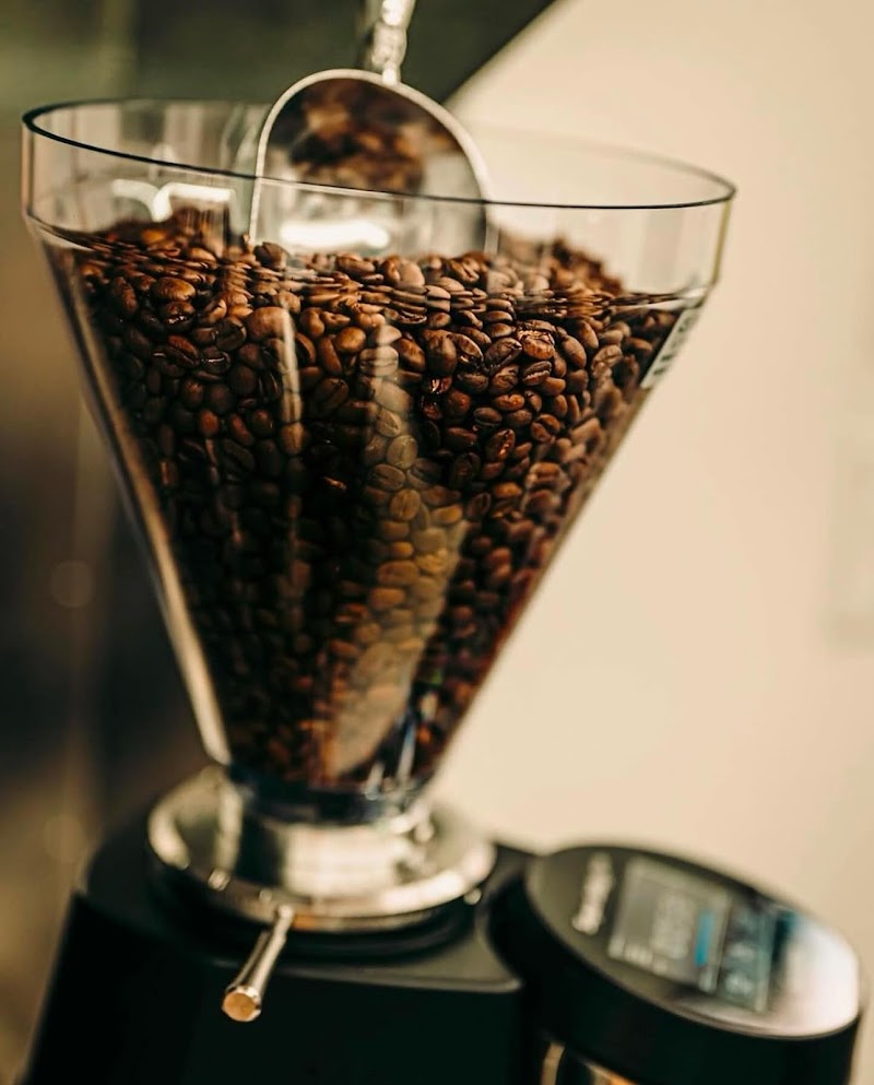 Brew 21 Extra Chromosome Coffee Co.