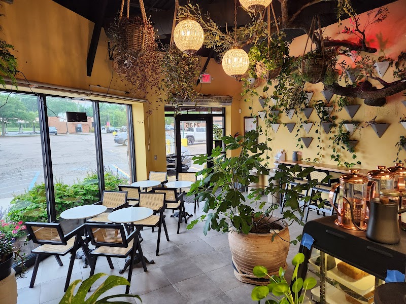 Roots Juice and Coffee Bar