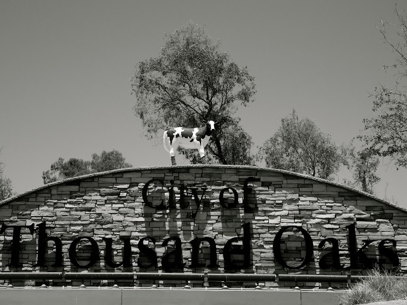 Little Calf Creamery and Cafe