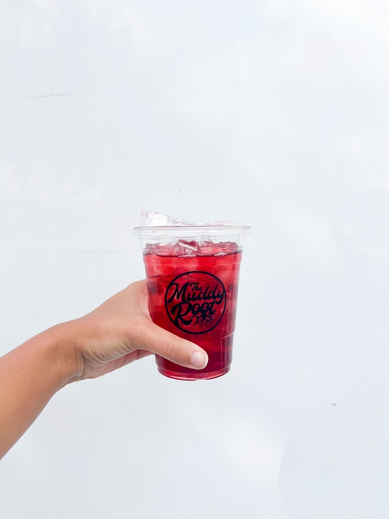 The Muddy Root Kava Cafe