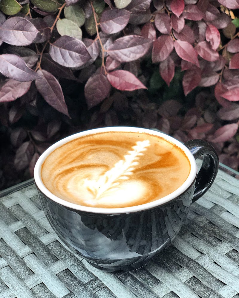 Guillermo's Gourmet Coffee