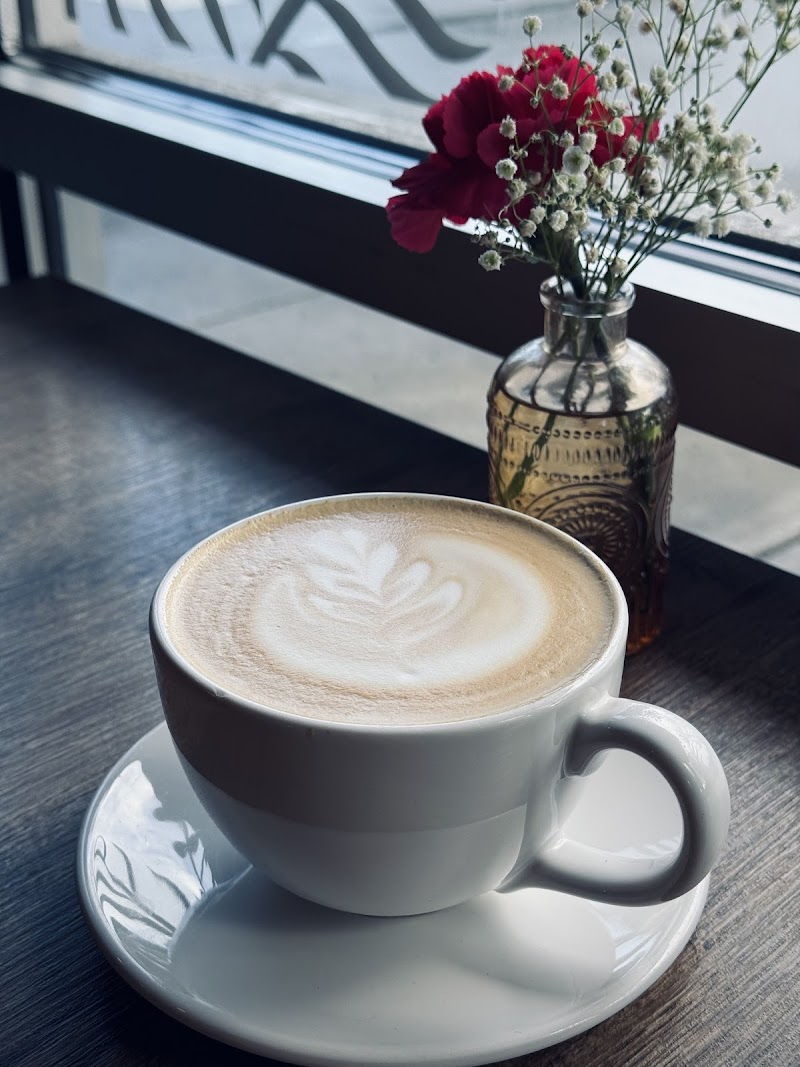 Fog & Fern Coffee House