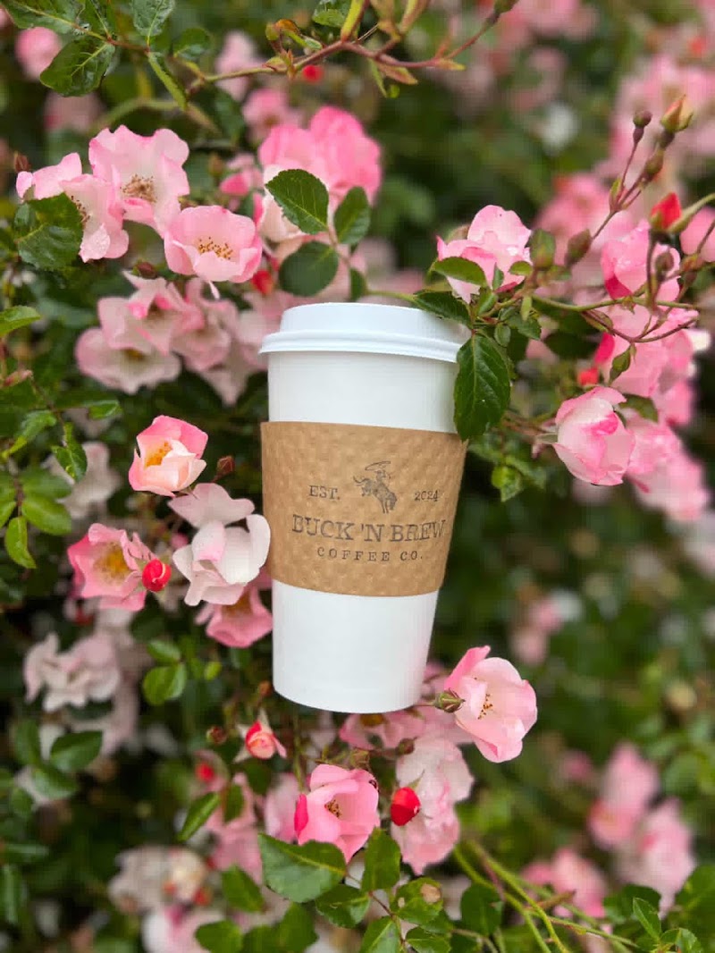 Buck 'N Brew Coffee Company