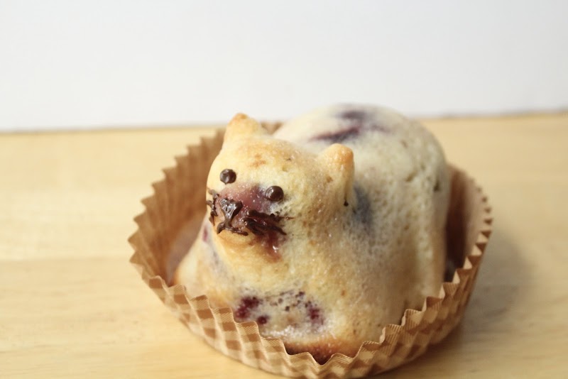 Mac Tabby Cat Cafe - Salisbury