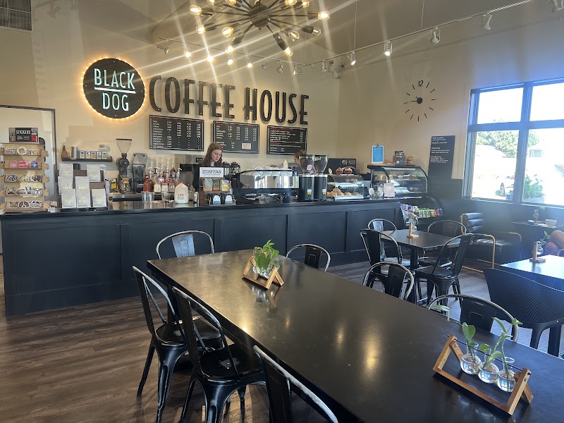 Black Dog Coffee House x 24th Street