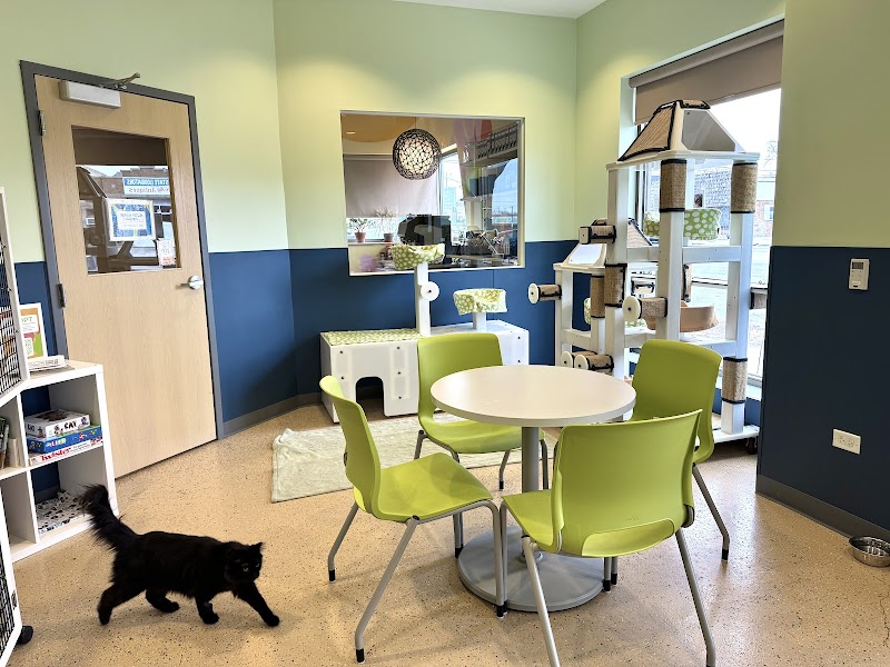 Tree House Cat Cafe (Reserve your spot today!)