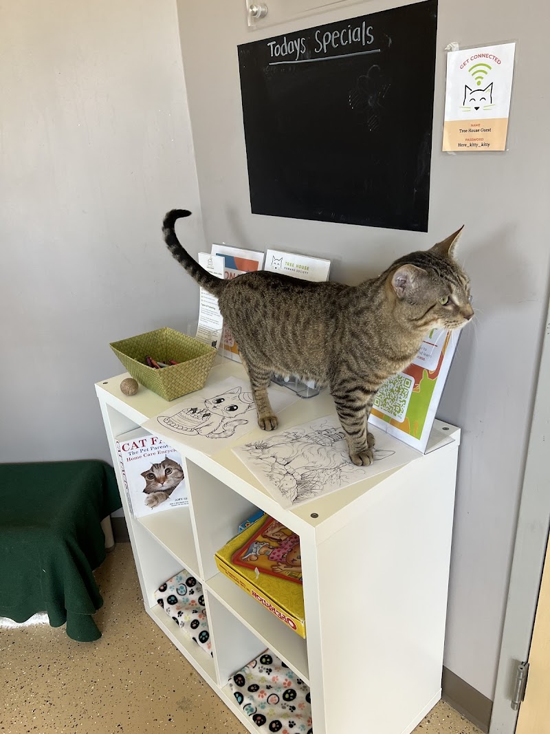 Tree House Cat Cafe (Reserve your spot today!)