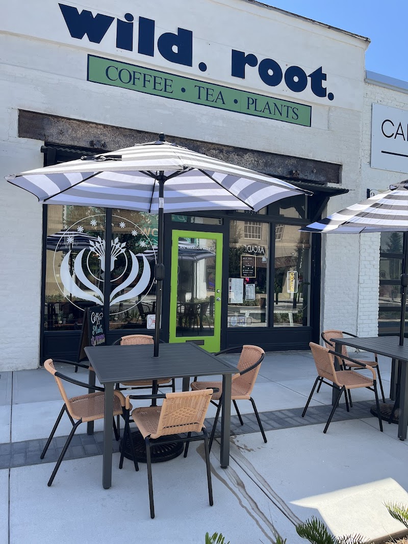 wild. root. Panama City