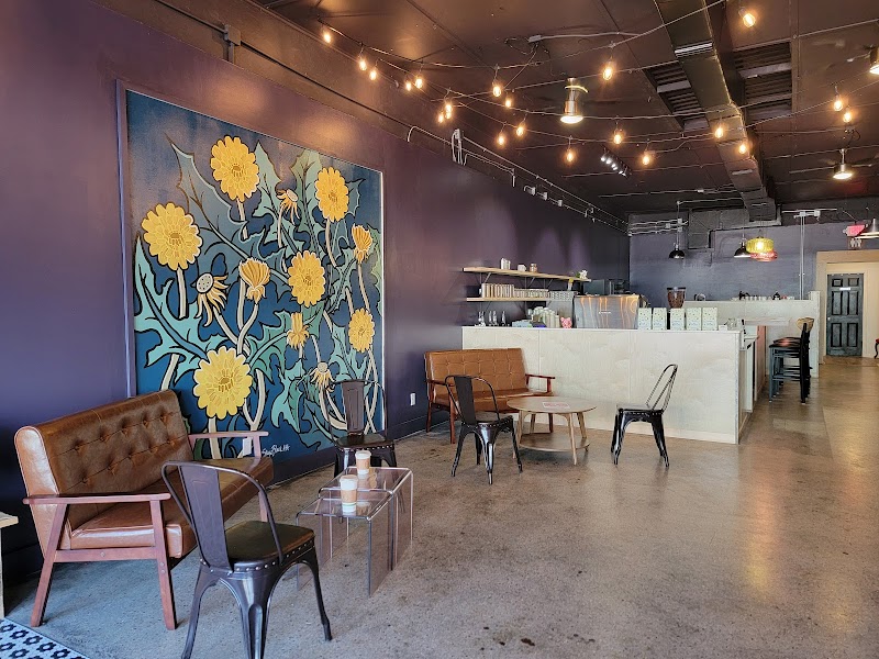 wild. root. Panama City