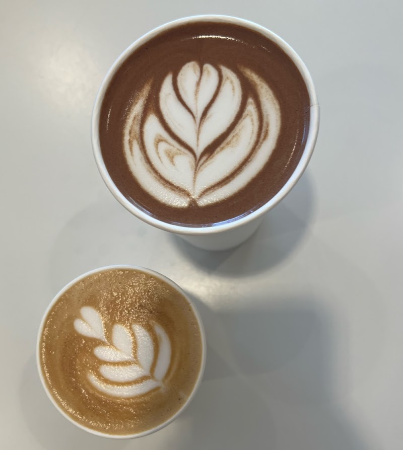 Flor and Seed Coffee Roasters