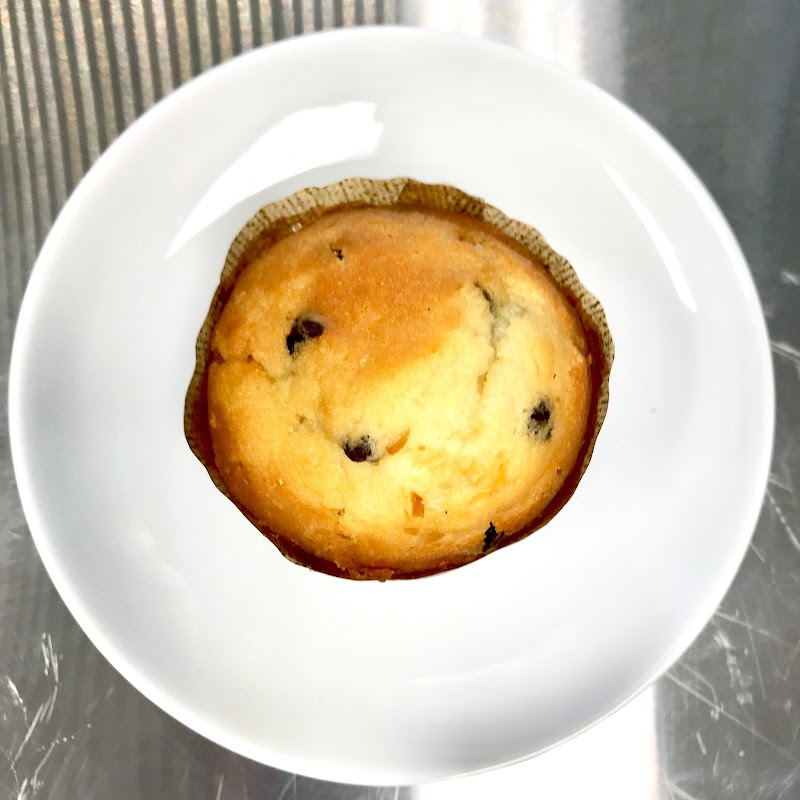 Blue Donkey Coffee Co.