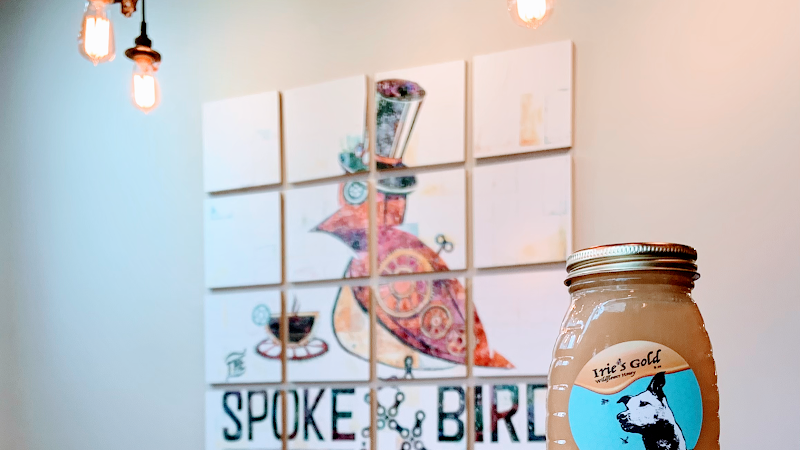 The Spoke & Bird (Bridgeport)