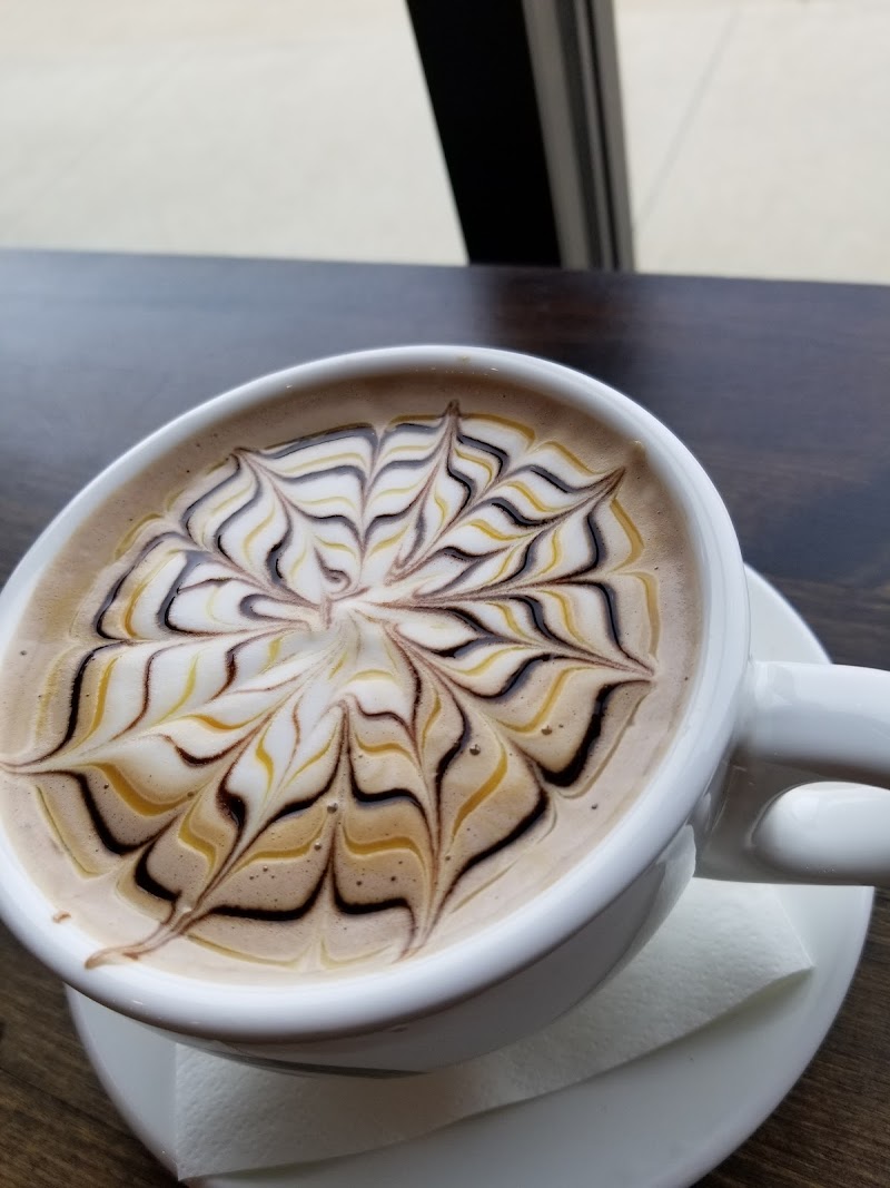 HI TEA X COFFEE TREE