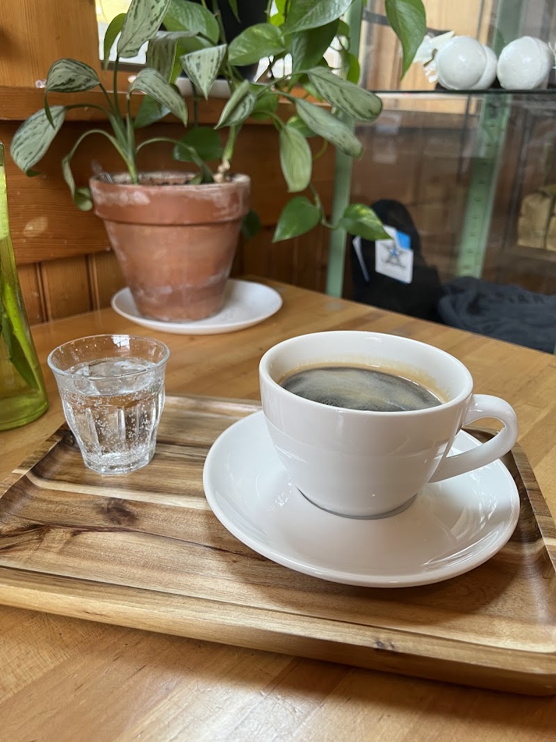 Rising Star Coffee Roasters