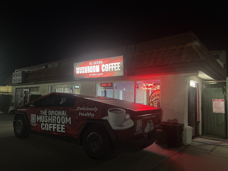 The Original Mushroom Coffee