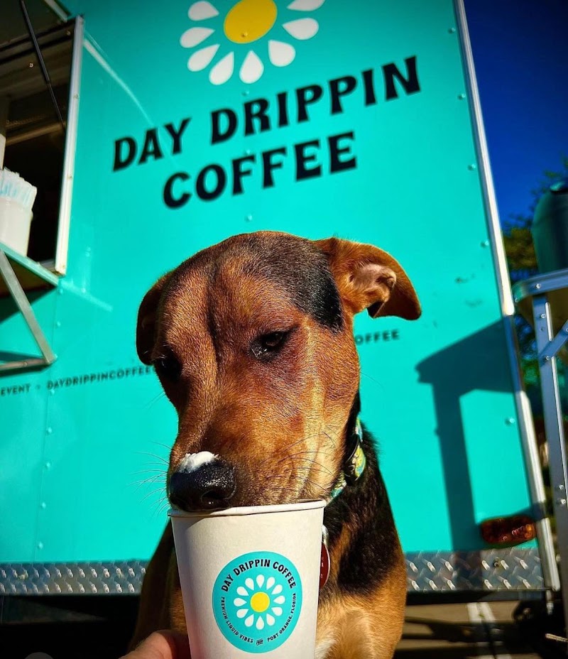 Day Drippin Coffee