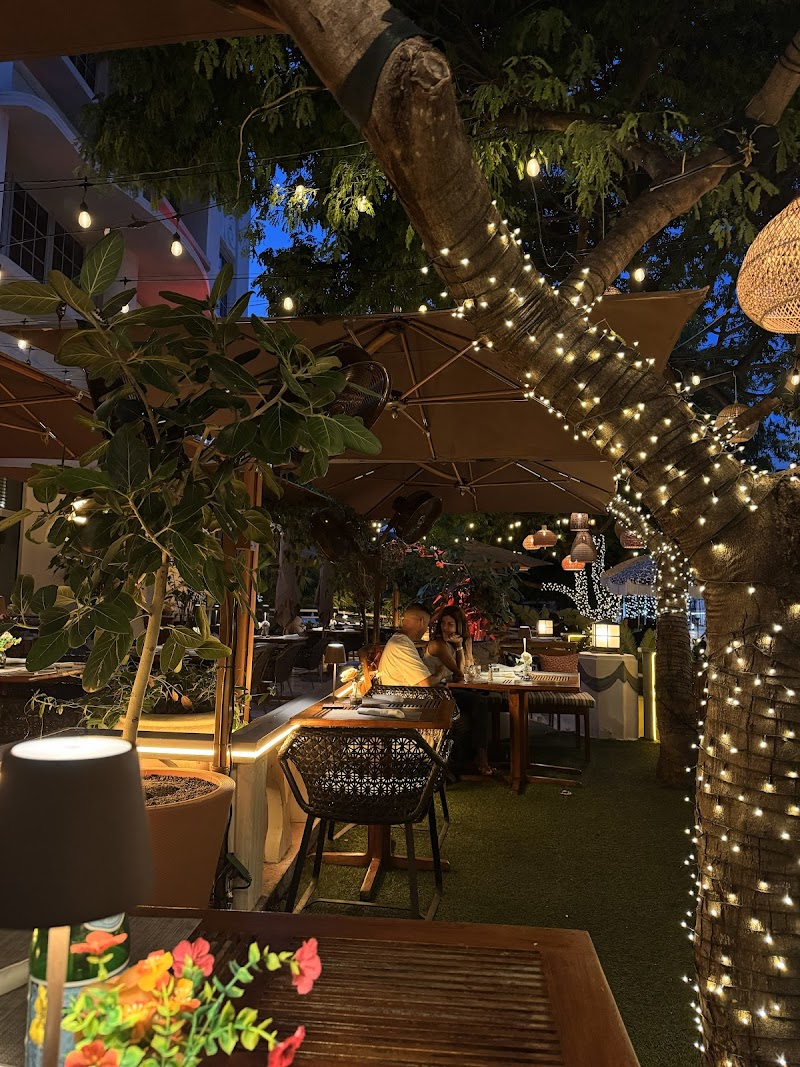 Salt Cafe Miami Beach