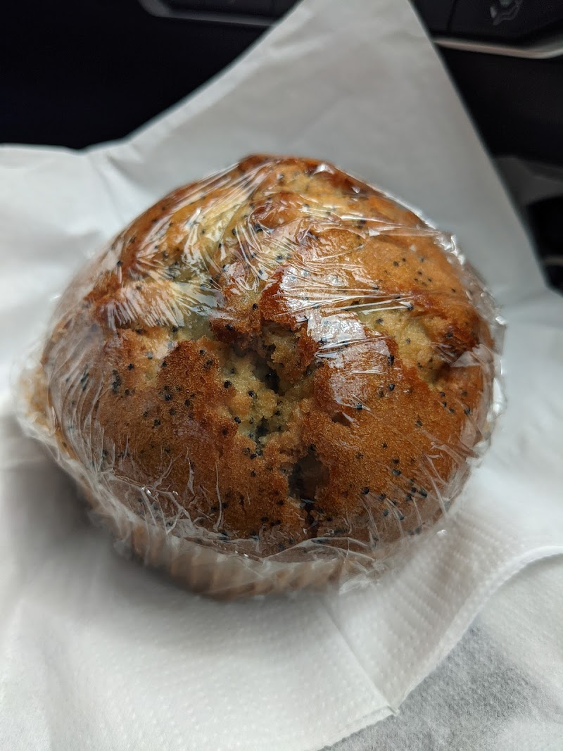 Jitter Bean Coffee Co.