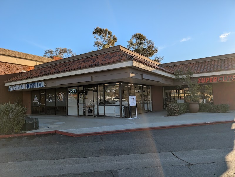 Ocho Coffee & Patisserie