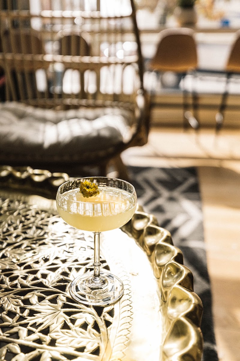 Hello Darling (Commons Park)