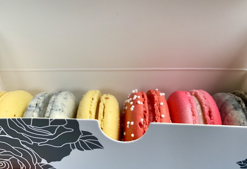 Alchemy Macarons