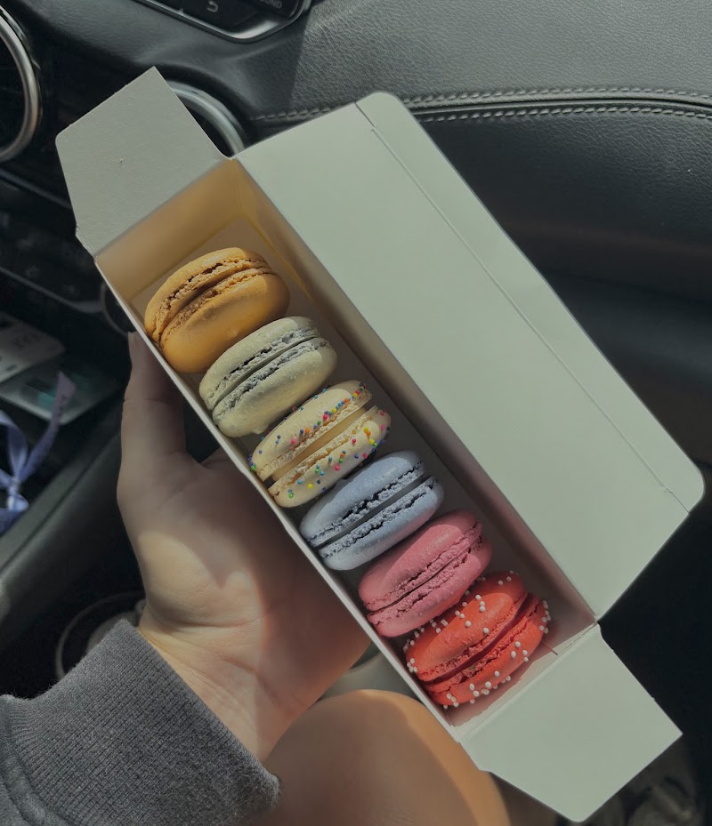 Alchemy Macarons