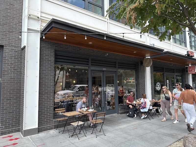 Pluma by Bluebird Bakery