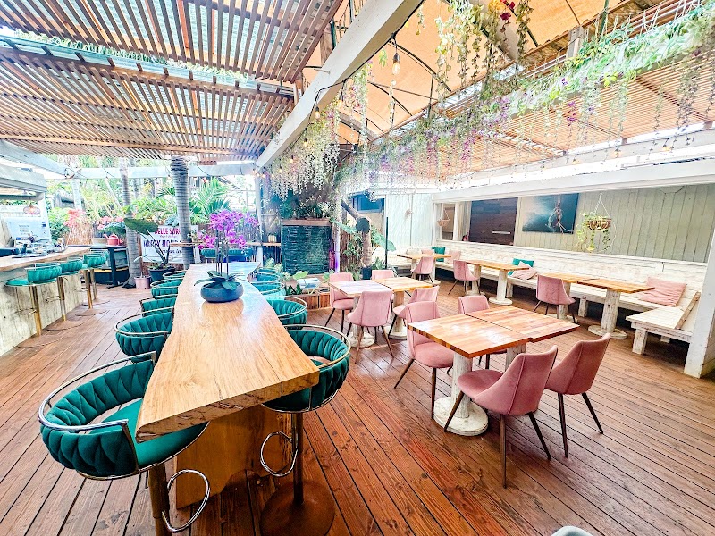 Belle Surf Cafe & Lounge