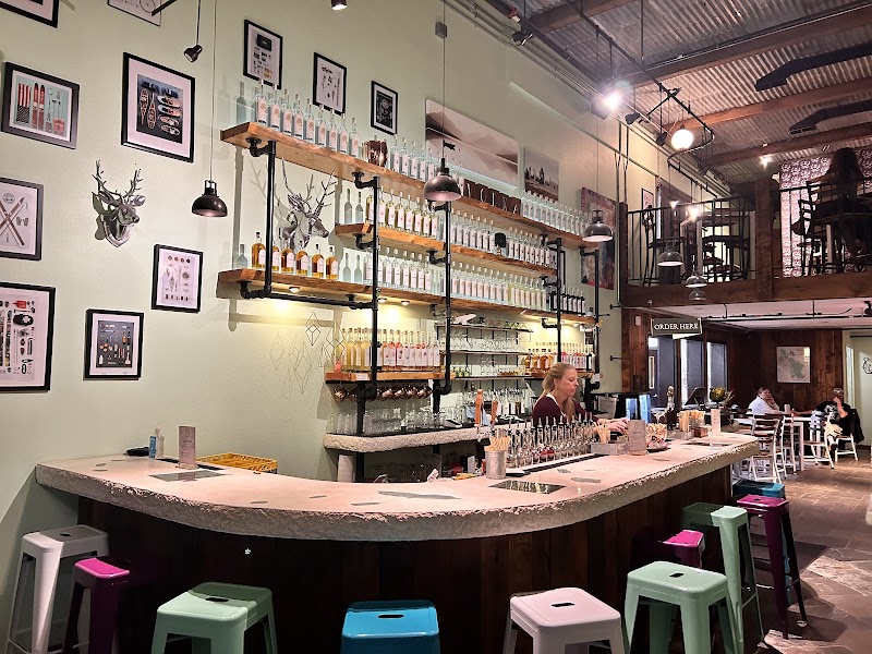 Spotted Bear Spirits