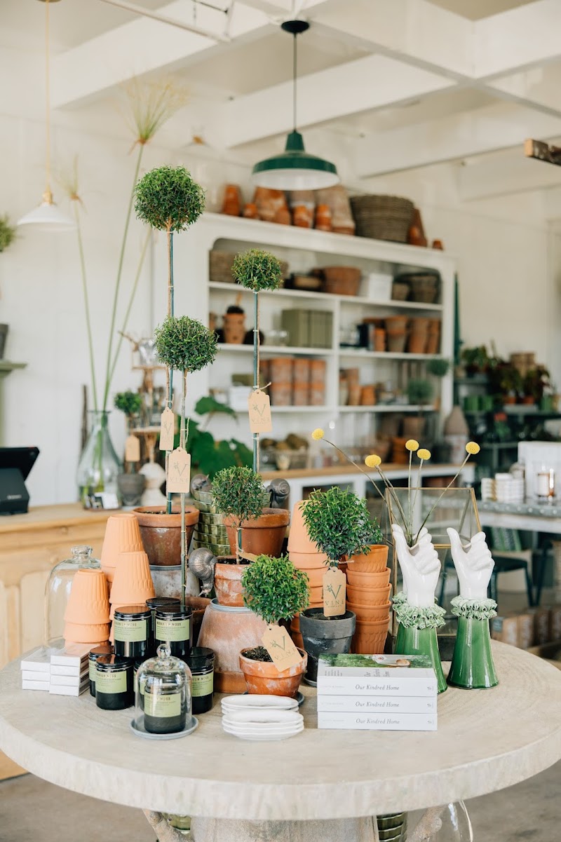 VINE plants · gifts · flowers · coffee