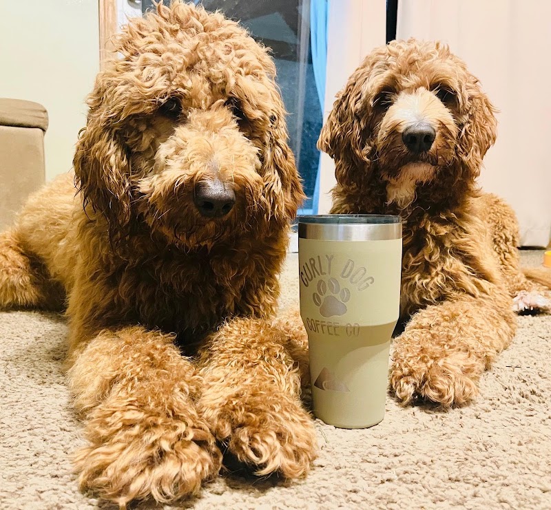 Curly Dog Coffee