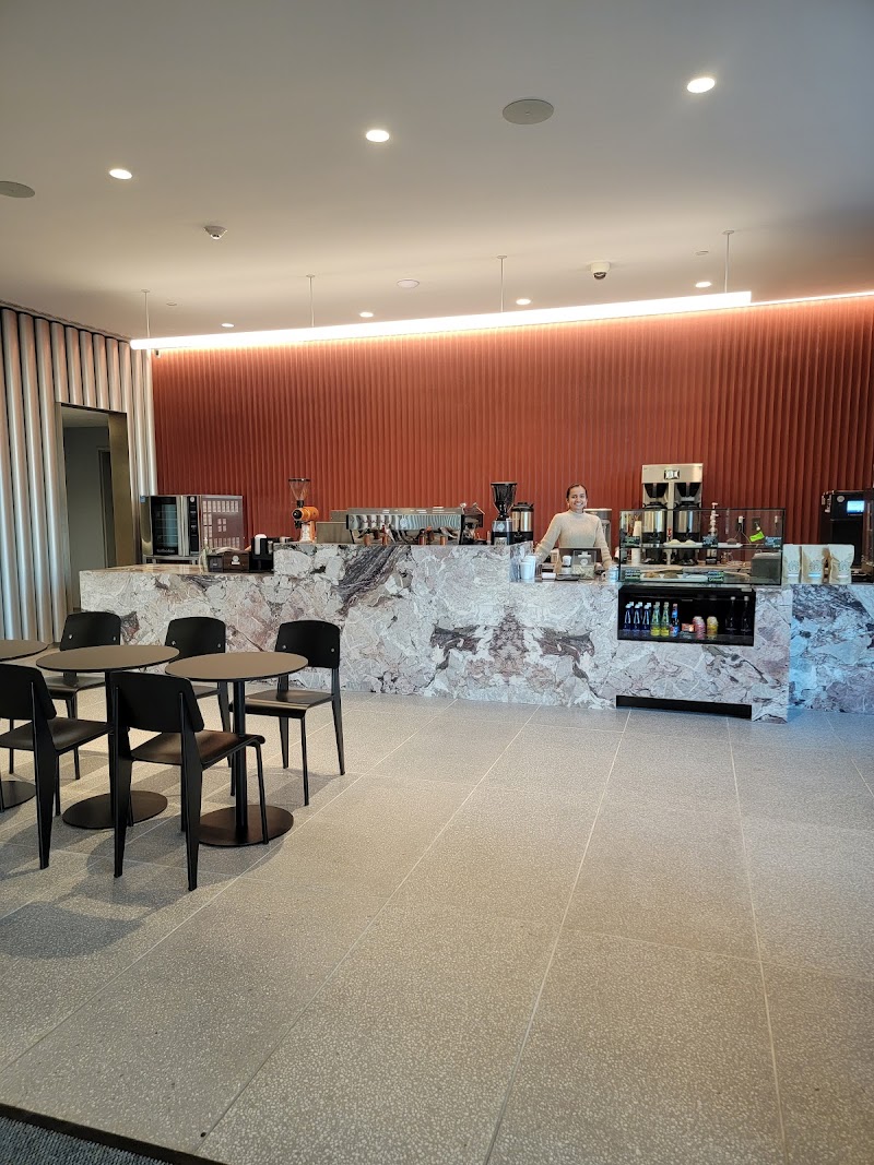 Pueblo Querido Coffee Roasters Café de Colombia 4