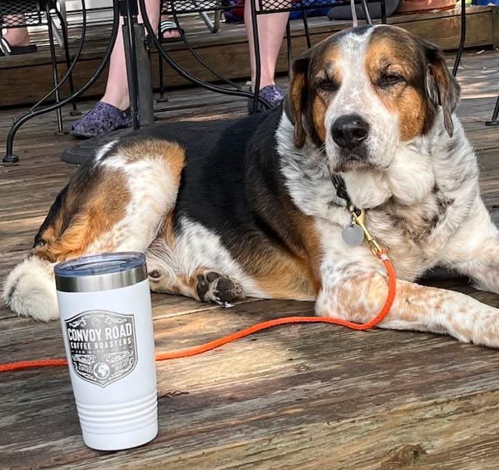 The Rebel Bean - Pre-Order only