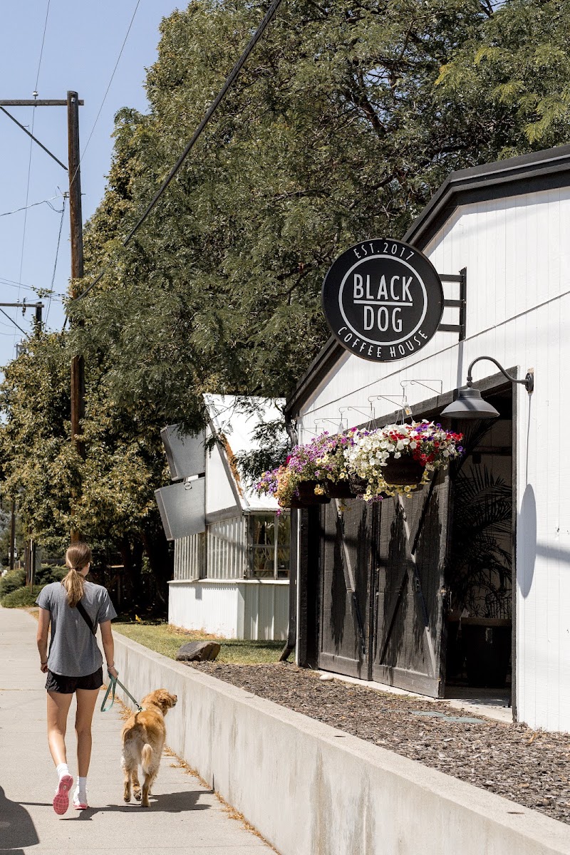 Black Dog Coffee House x Poly Drive