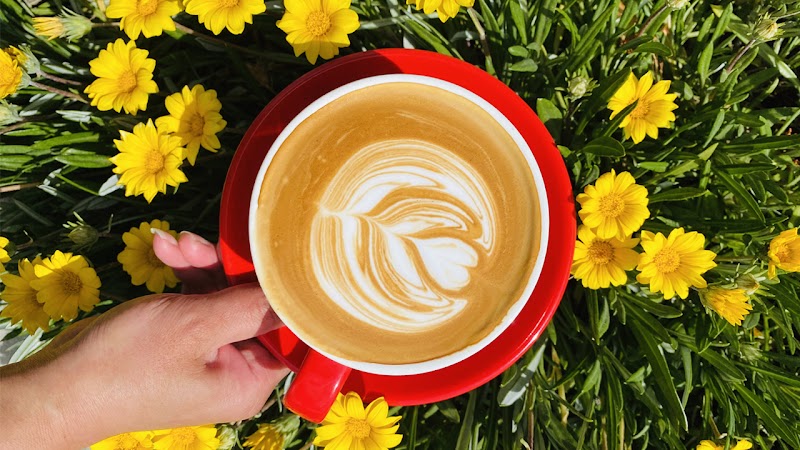 Meravalley Coffee Roasters