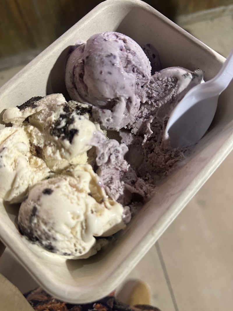 Mayday Icecream Belhaven