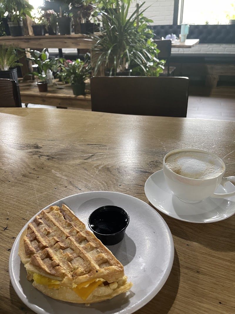 Curiouser Coffee and Conservatory