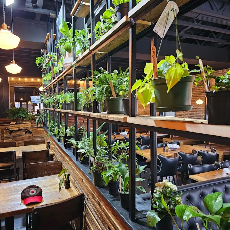 Curiouser Coffee and Conservatory