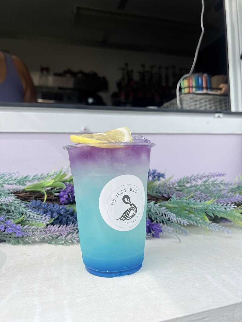 The Ugly Duck Coffee Co