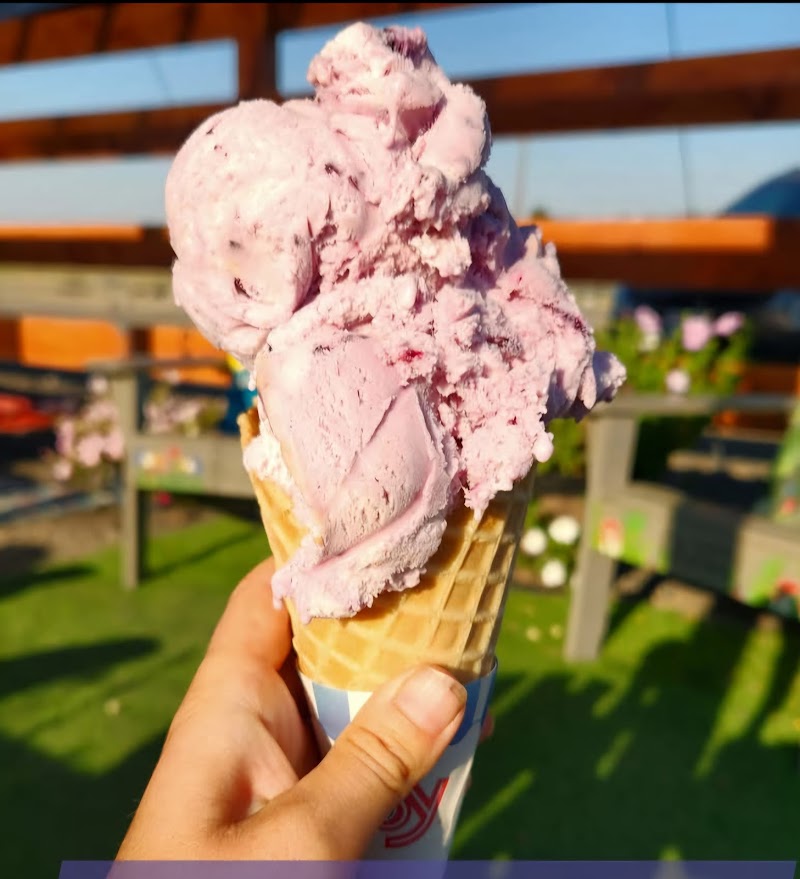 The Love Birds Coffee Shop