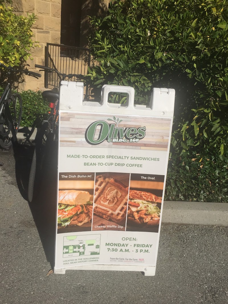 Olives at Building 160