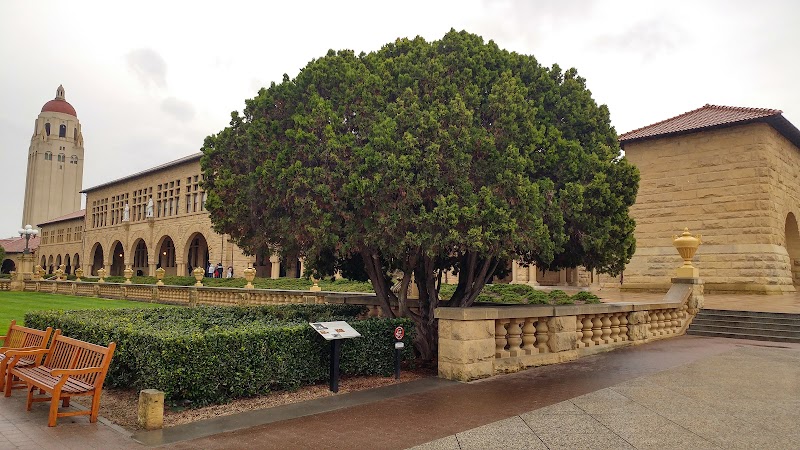 Olives at Building 160