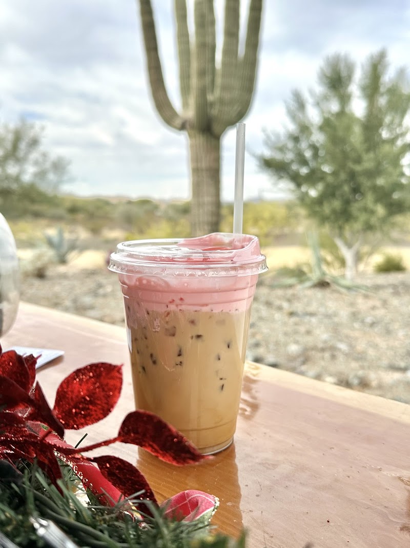 Sunny brew Coffee - Studio 67