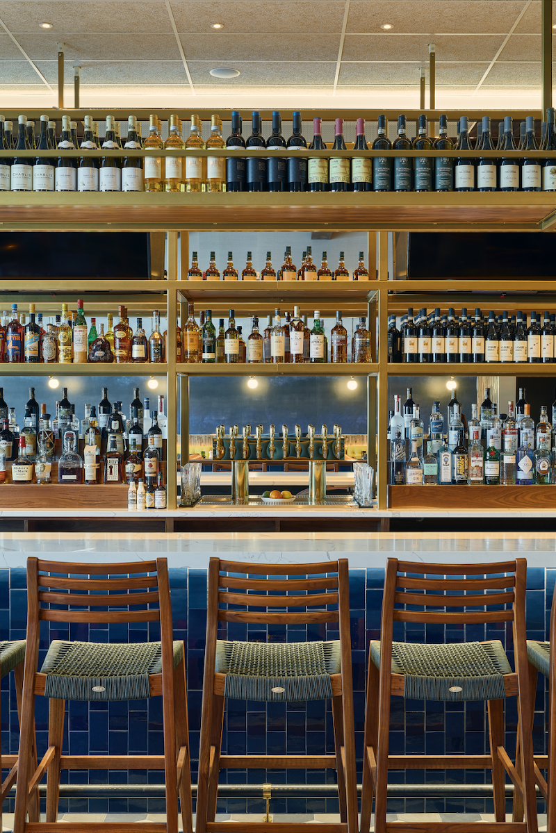 The Painted Burro - Harvard Square