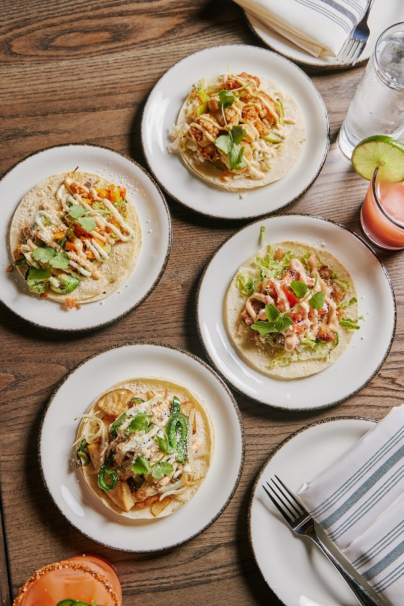 The Painted Burro - Harvard Square